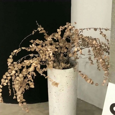 Furry二次元壁纸分享FurryQQ群